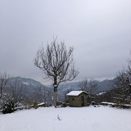 Παραδοσιακή κατοικία στην μαγευτική Βλάχα Ελάτης Εξωτερικό φωτογραφία