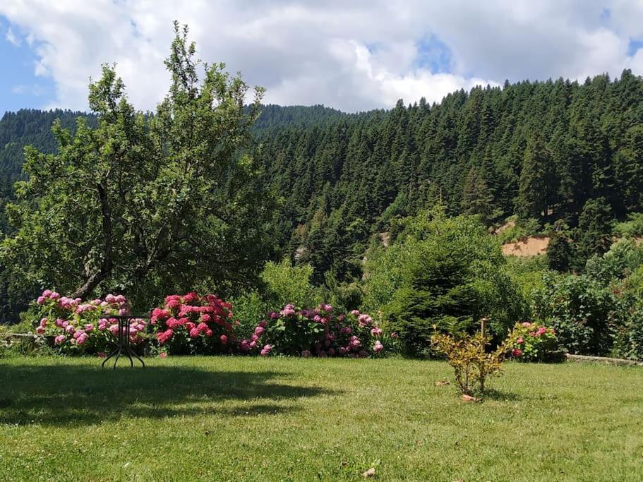 Παραδοσιακή κατοικία στην μαγευτική Βλάχα Ελάτης Εξωτερικό φωτογραφία